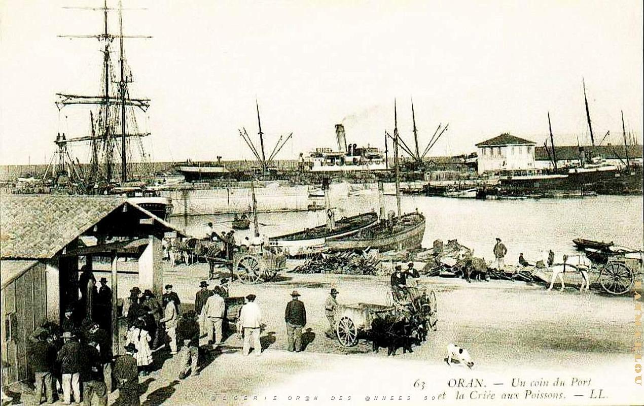 PO b- 059.jpg
